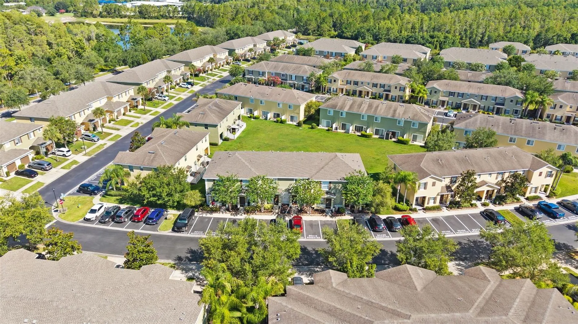 20414 Berrywood Lane Tampa FL 33647
