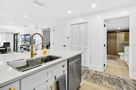 29254 Bay Hollow Drive Wesley Chapel FL 33543