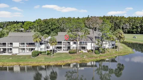 29254 Bay Hollow Drive Wesley Chapel FL 33543