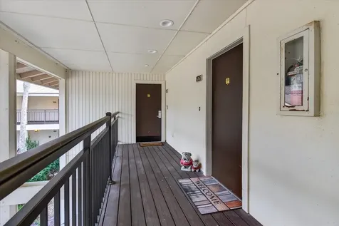 29254 Bay Hollow Drive Wesley Chapel FL 33543