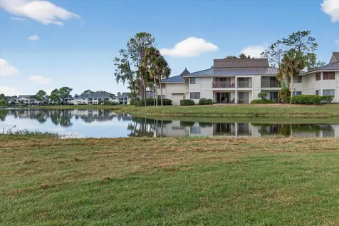 29254 Bay Hollow Drive Wesley Chapel FL 33543