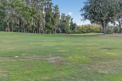 29254 Bay Hollow Drive Wesley Chapel FL 33543