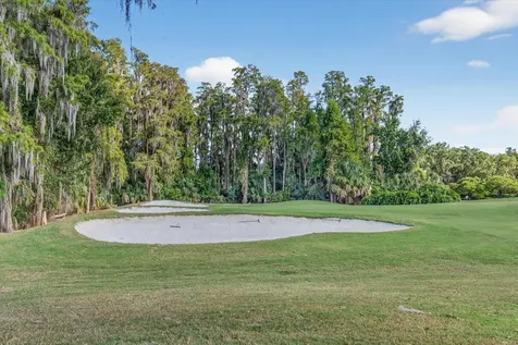 29254 Bay Hollow Drive Wesley Chapel FL 33543