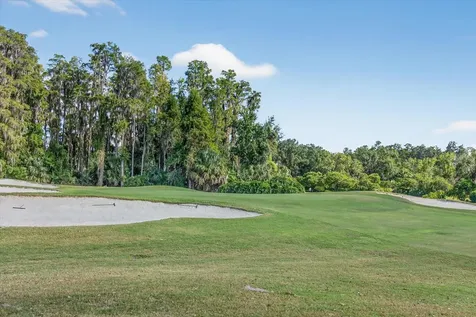 29254 Bay Hollow Drive Wesley Chapel FL 33543