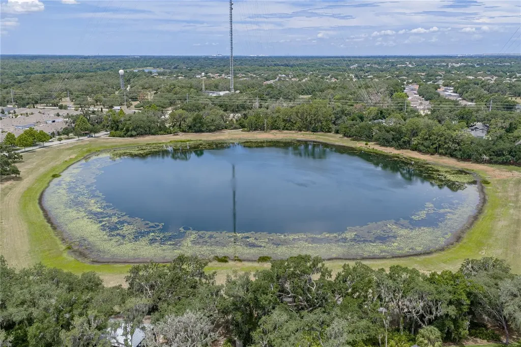 5904 Shell Ridge Drive Lithia FL 33547