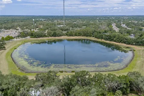 5904 Shell Ridge Drive Lithia FL 33547