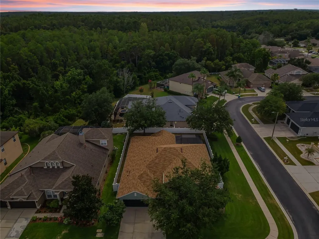 1629 Salmonberry Street Wesley Chapel FL 33543