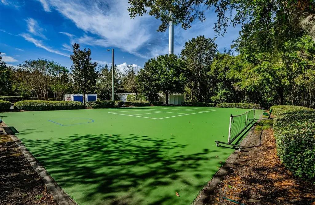 1629 Salmonberry Street Wesley Chapel FL 33543