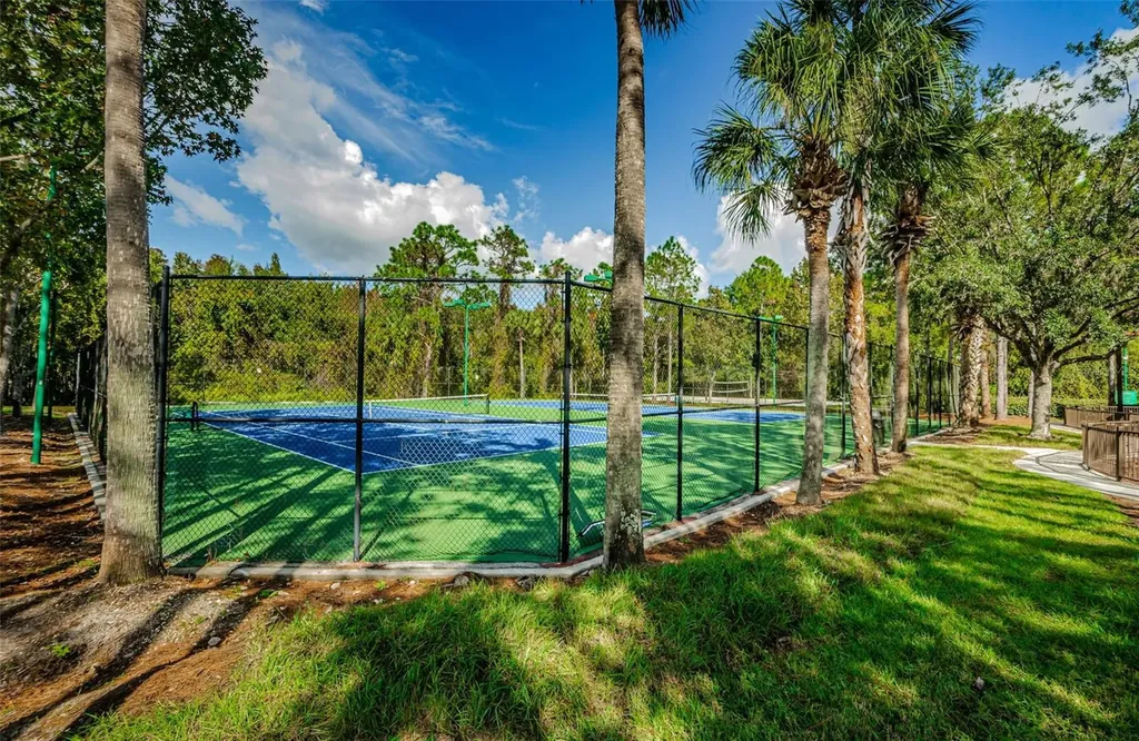 1629 Salmonberry Street Wesley Chapel FL 33543