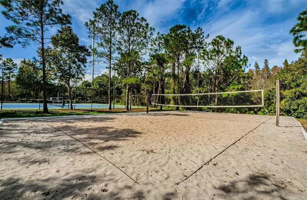 1629 Salmonberry Street Wesley Chapel FL 33543