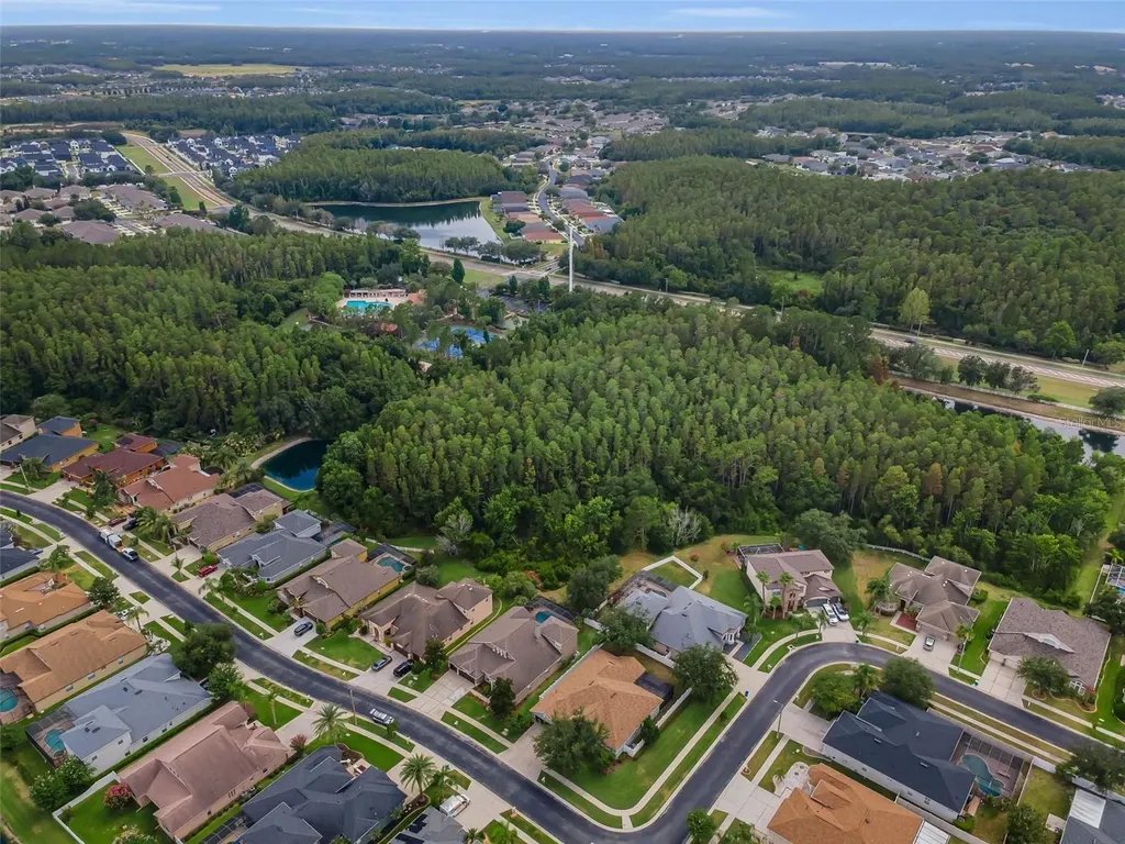1629 Salmonberry Street Wesley Chapel FL 33543