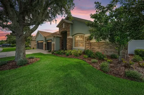 1629 Salmonberry Street Wesley Chapel FL 33543