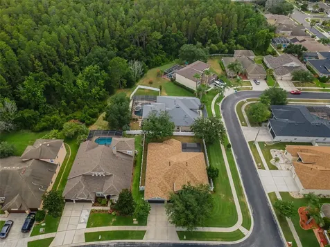 1629 Salmonberry Street Wesley Chapel FL 33543