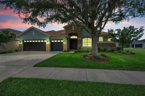 1629 Salmonberry Street Wesley Chapel FL 33543