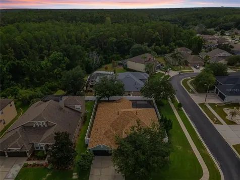 1629 Salmonberry Street Wesley Chapel FL 33543