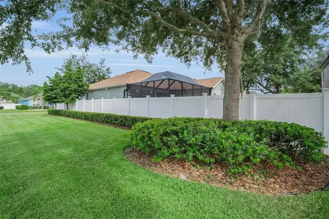1629 Salmonberry Street Wesley Chapel FL 33543