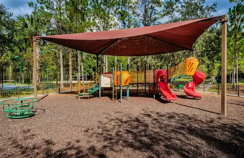 1629 Salmonberry Street Wesley Chapel FL 33543
