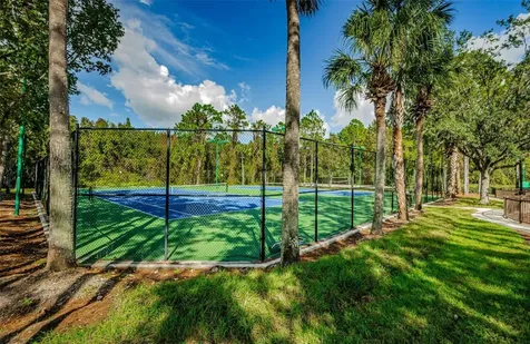 1629 Salmonberry Street Wesley Chapel FL 33543