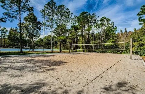 1629 Salmonberry Street Wesley Chapel FL 33543