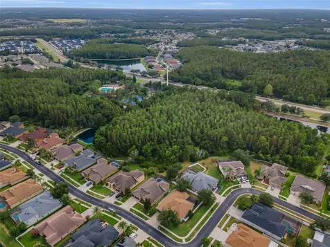 1629 Salmonberry Street Wesley Chapel FL 33543