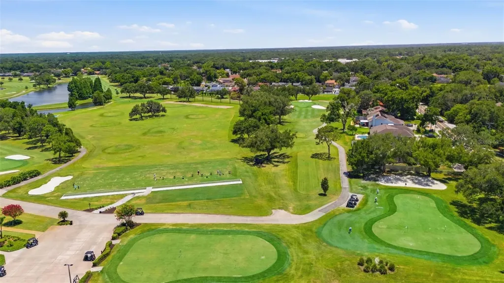 2409 Arborwood Drive Valrico FL 33596