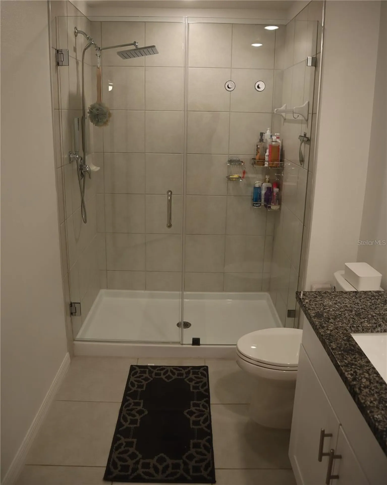 8339 Birch Haven Lane New Port Richey FL 34655