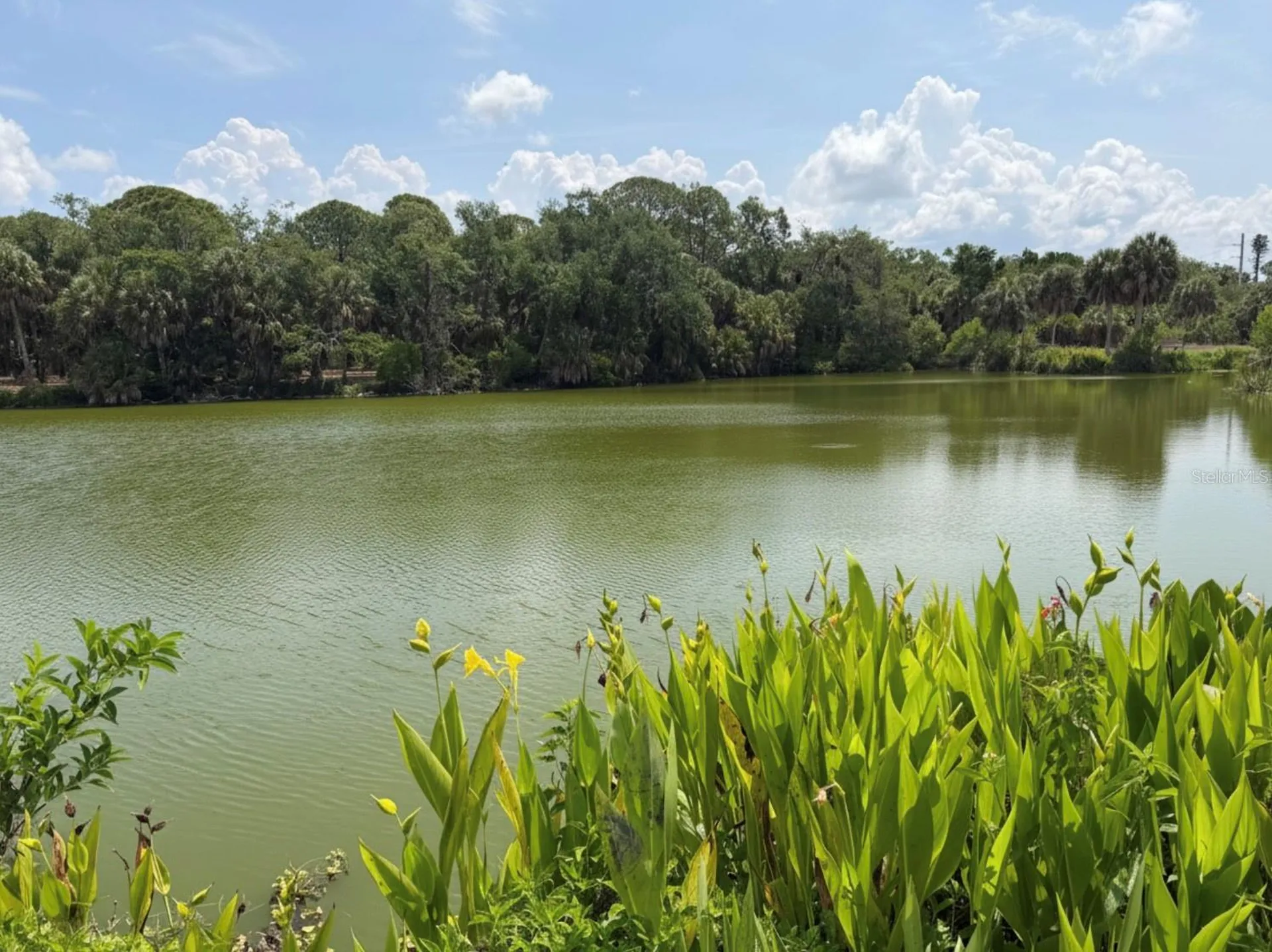 4842 Nutmeg Avenue Sarasota FL 34231