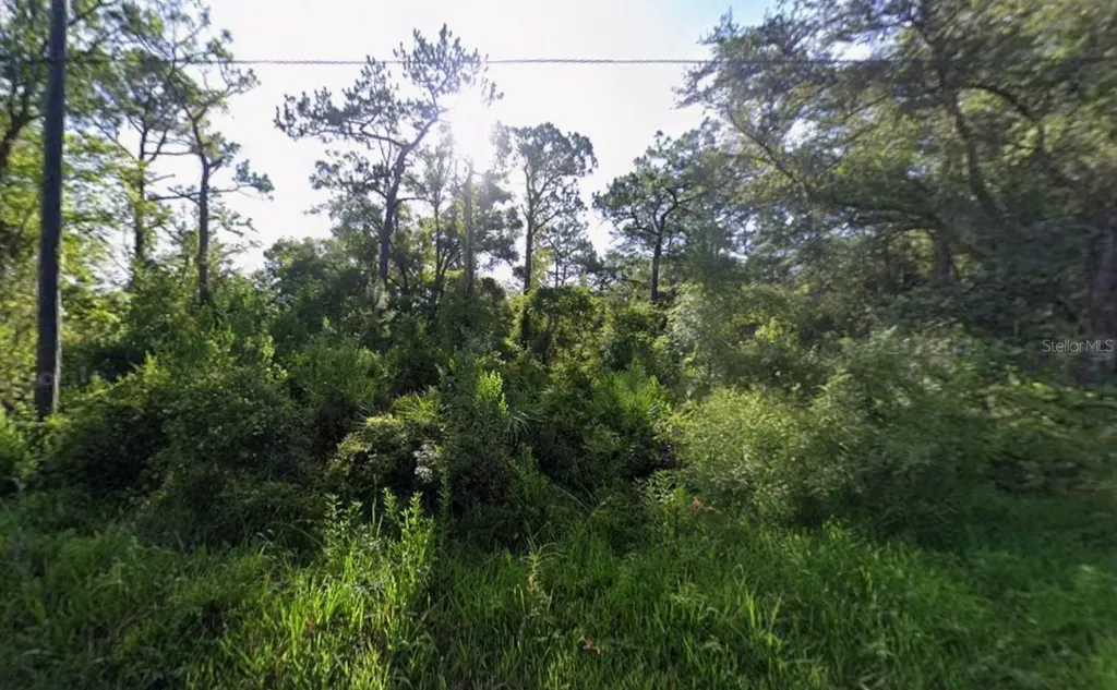 Atlee Street New Port Richey FL 34654