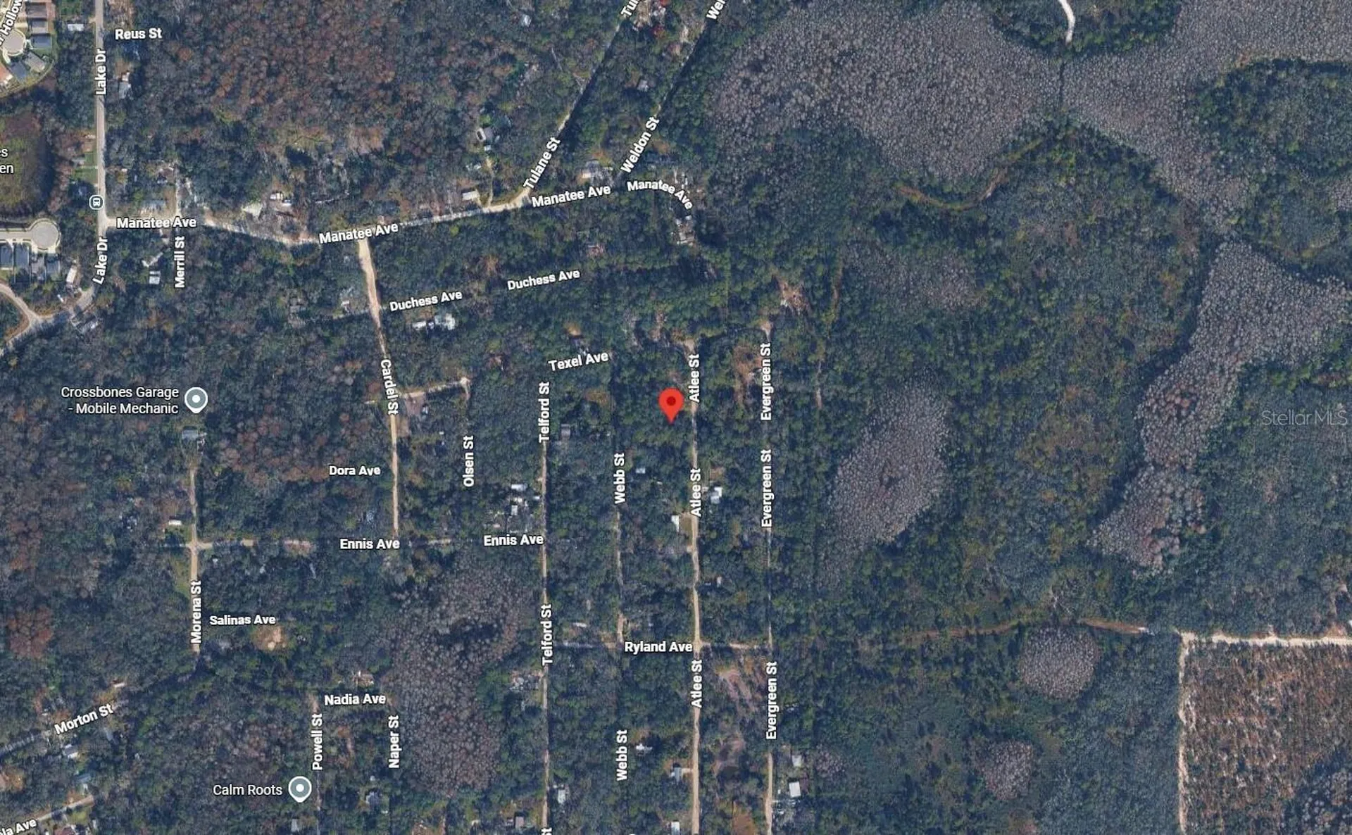 Atlee Street New Port Richey FL 34654