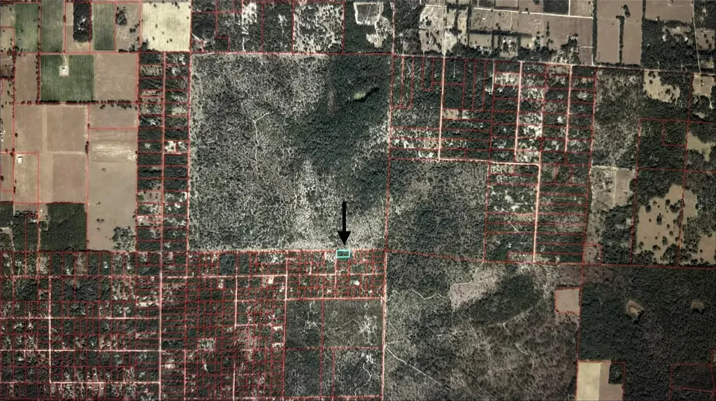 0000 Northeast 127th Court Bronson FL 32621