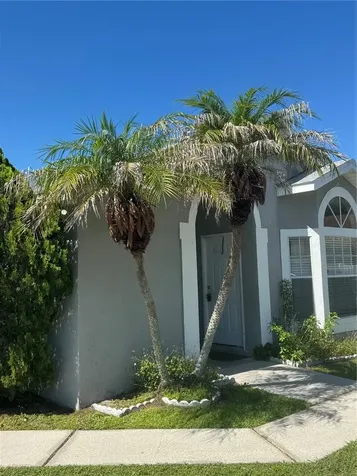 2399 Harbor Town Drive Kissimmee FL 34744