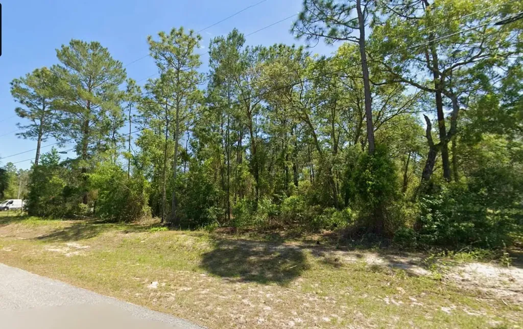 SW Nautilus Boulevard Dunnellon FL 34431