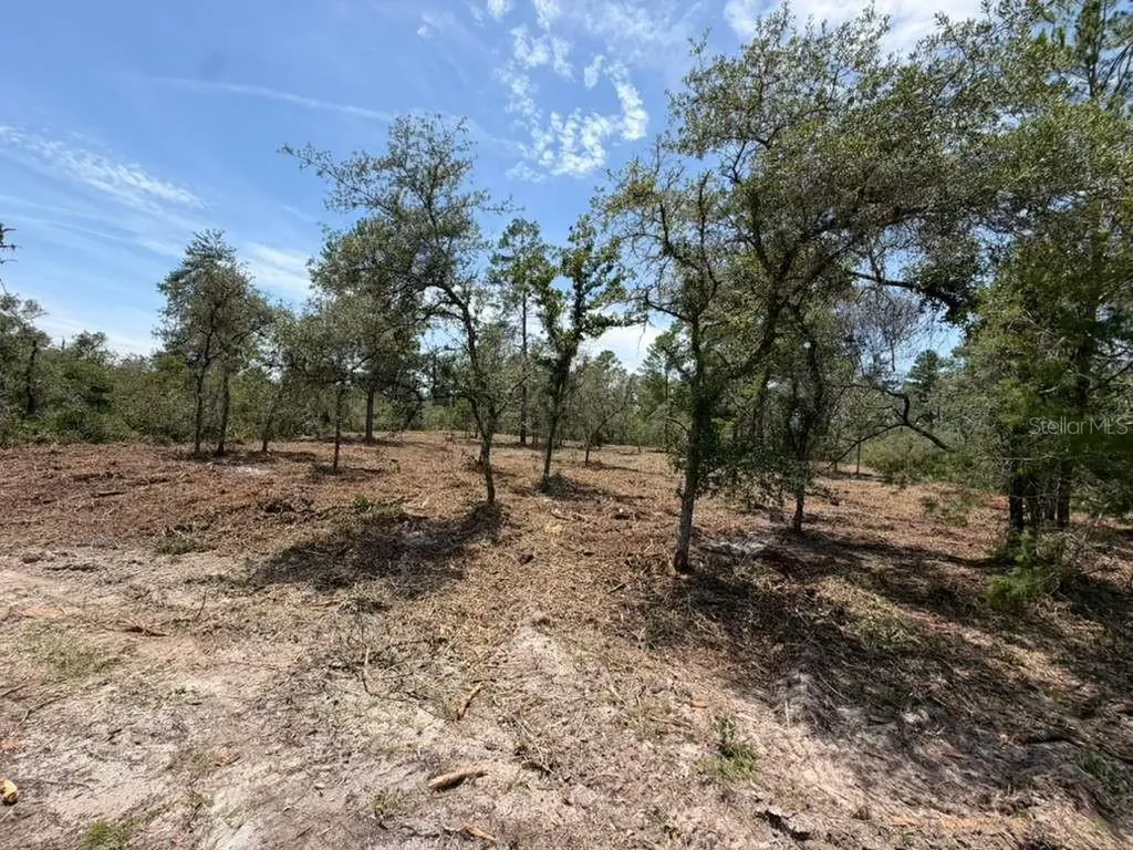 Fisher Way Track Ocklawaha FL 32179