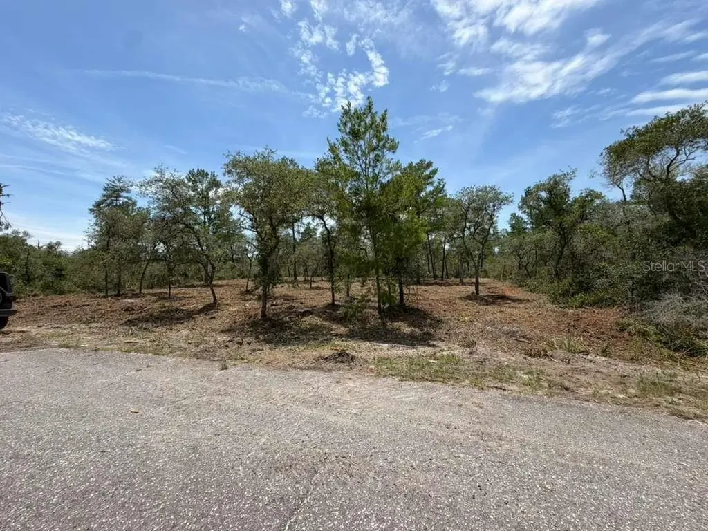 Fisher Way Track Ocklawaha FL 32179