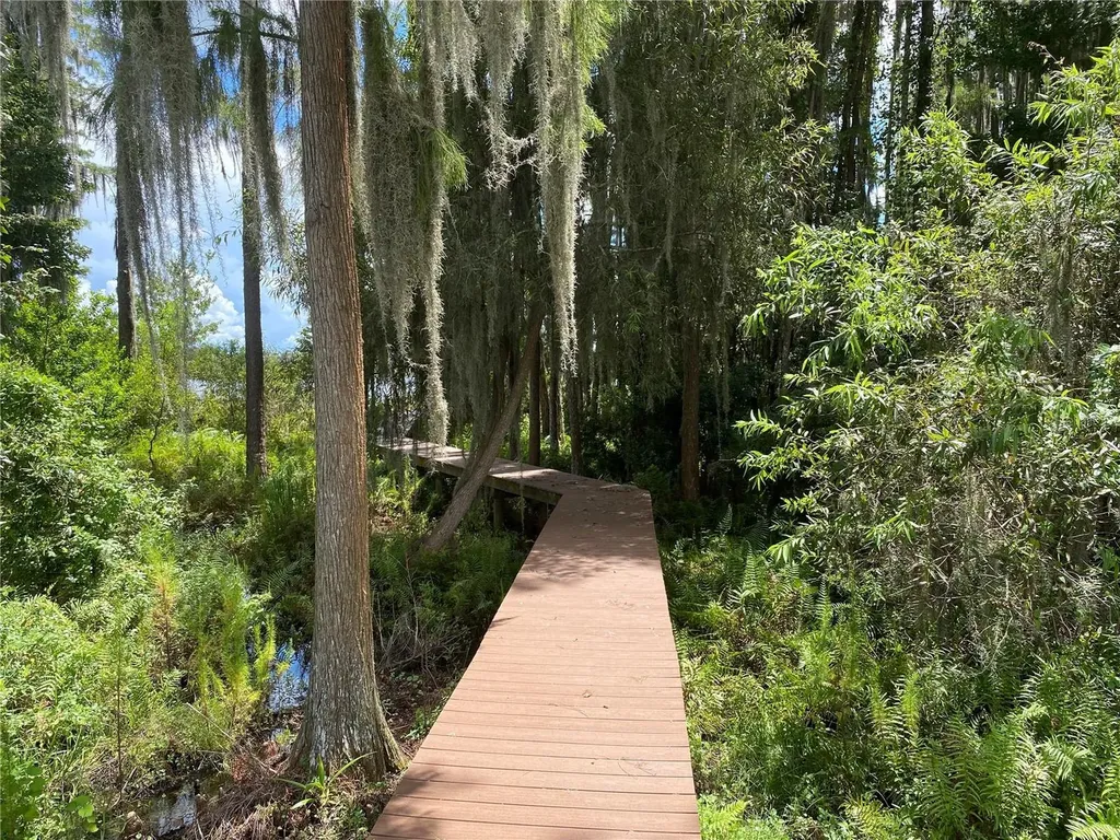 21430 Draycott Way Land O Lakes FL 34637