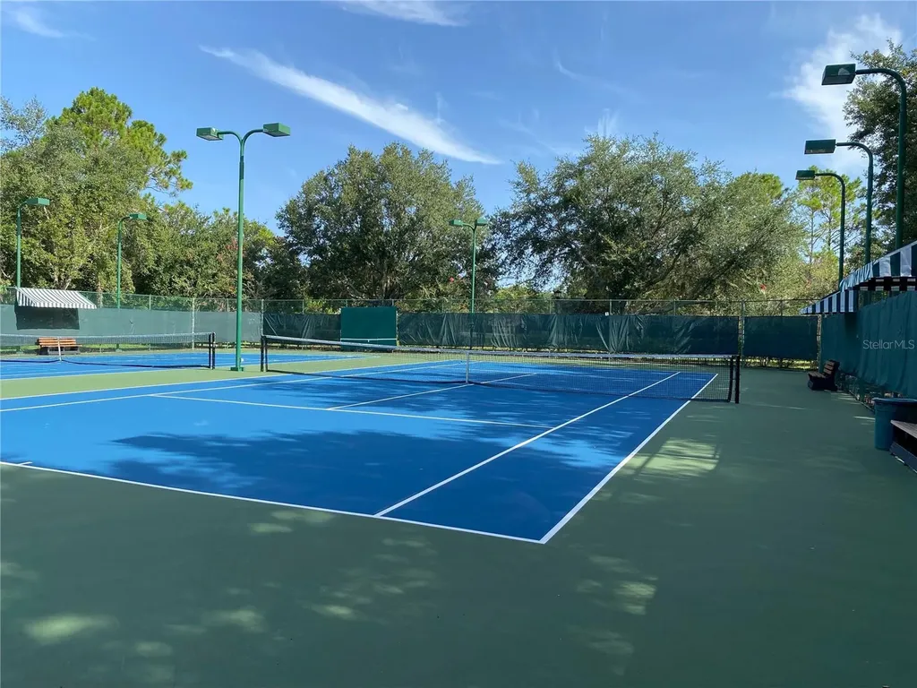 21430 Draycott Way Land O Lakes FL 34637
