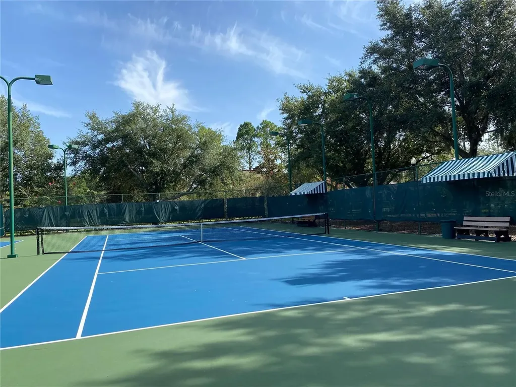 21430 Draycott Way Land O Lakes FL 34637
