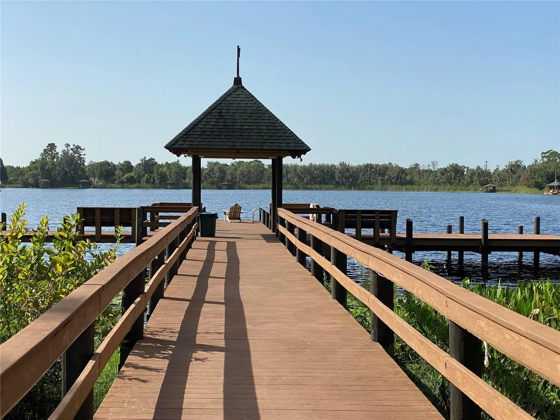 21430 Draycott Way Land O Lakes FL 34637
