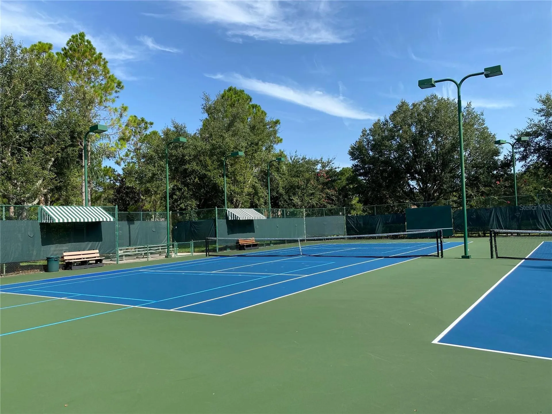 21430 Draycott Way Land O Lakes FL 34637