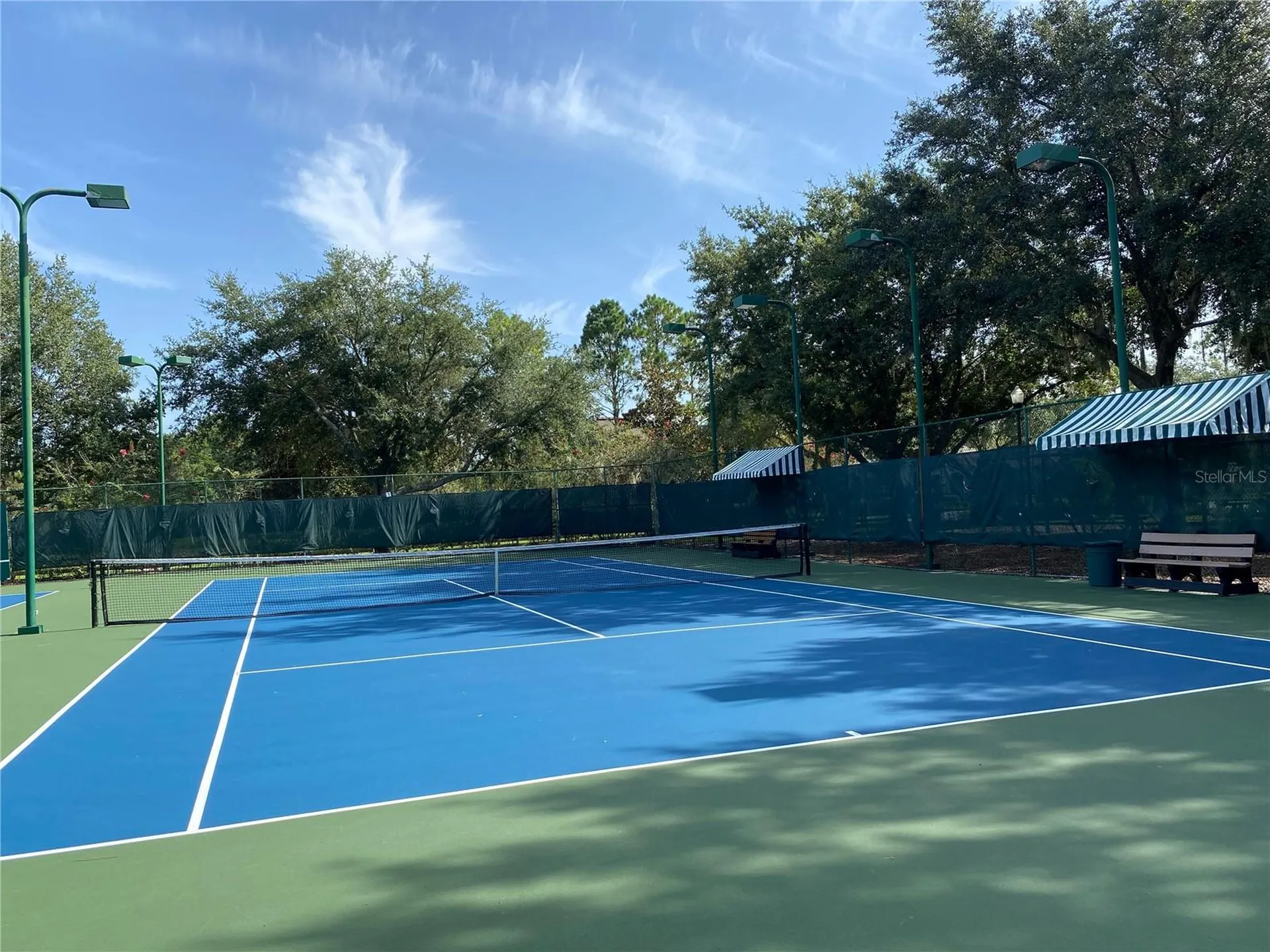 21430 Draycott Way Land O Lakes FL 34637