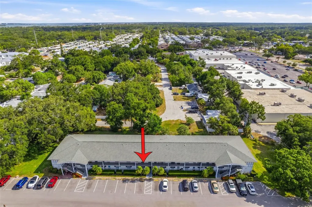 100 Glennes Lane Dunedin FL 34698