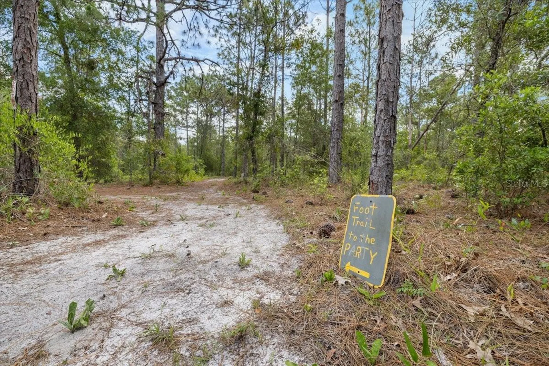 15624 Peace Boulevard Spring Hill FL 34610