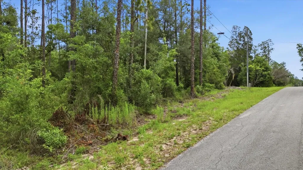 0000 SW Nautilus Boulevard Dunnellon FL 34431