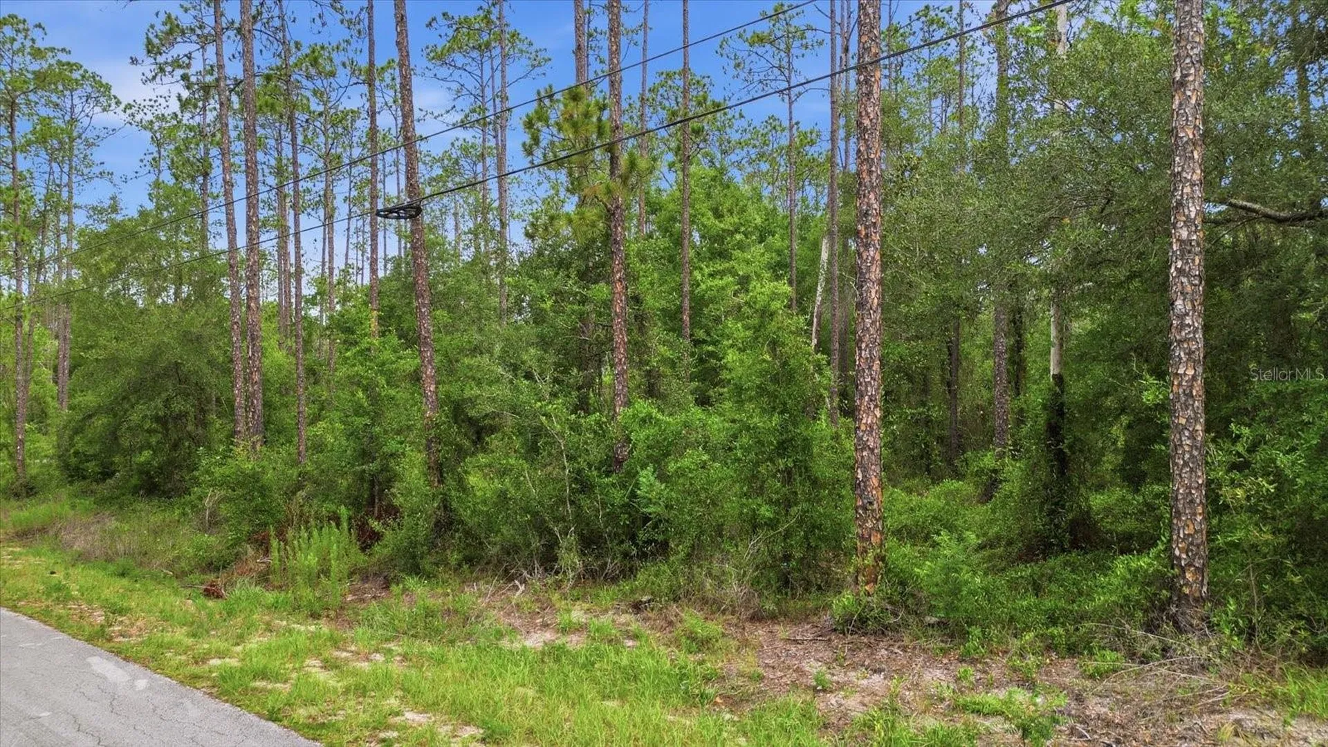 0000 SW Nautilus Boulevard Dunnellon FL 34431
