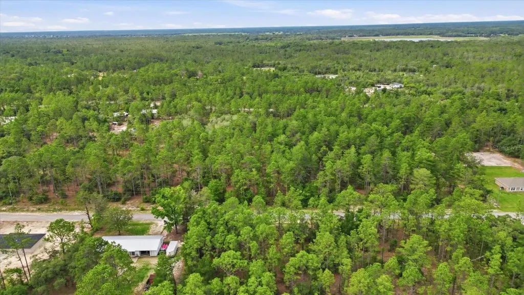 0000 SW Beaver Drive Dunnellon FL 34431
