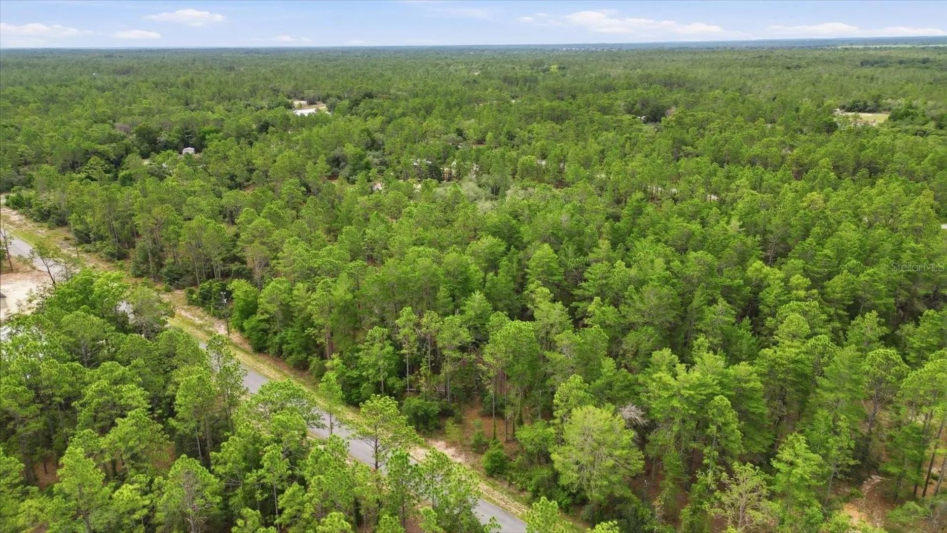 0000 SW Beaver Drive Dunnellon FL 34431