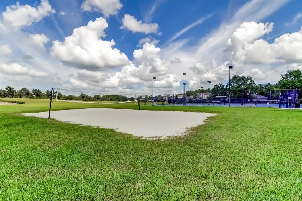 21851 Lyonia Lane Land O Lakes FL 34637