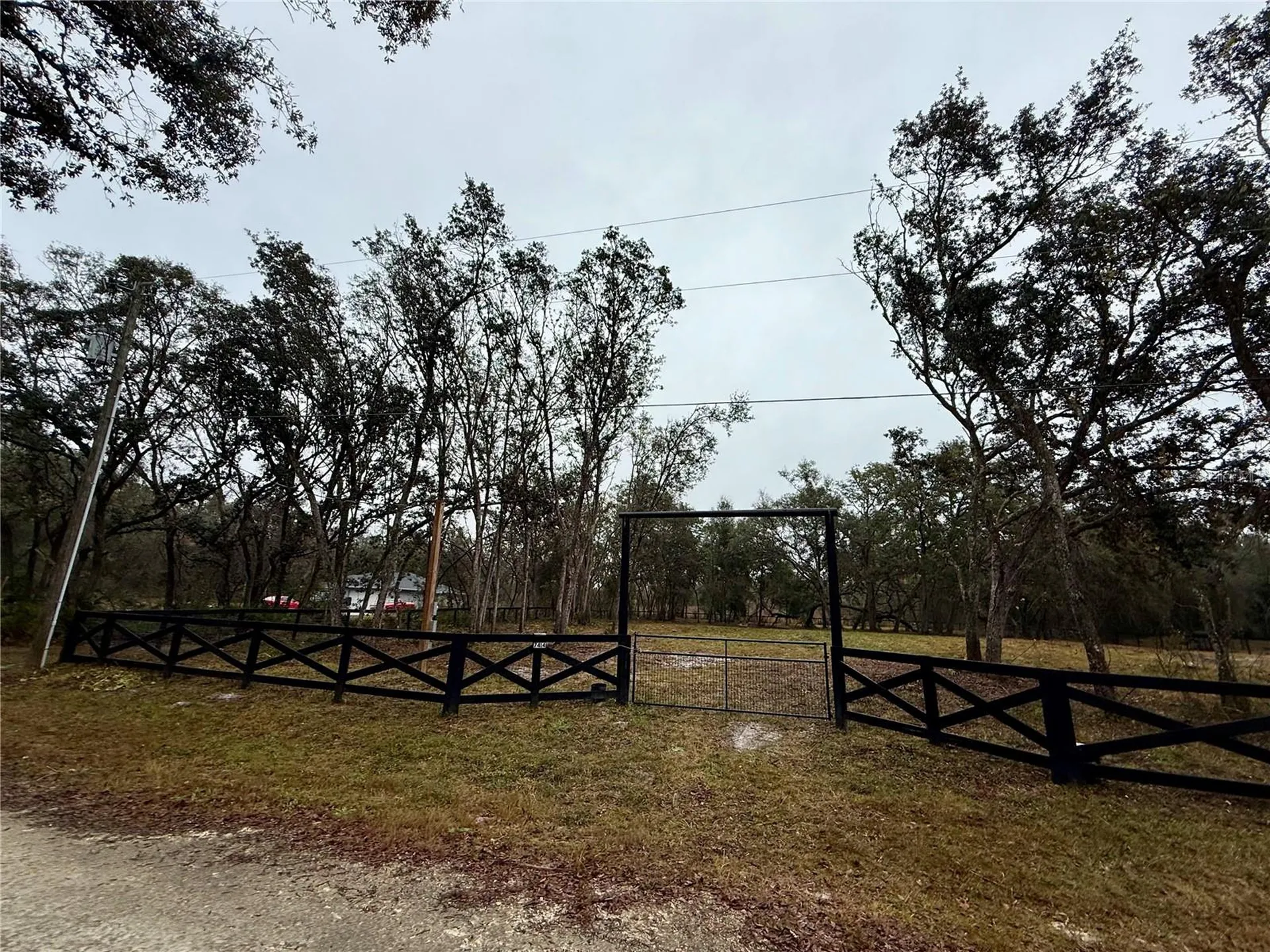 Antietam Drive Webster FL 33597