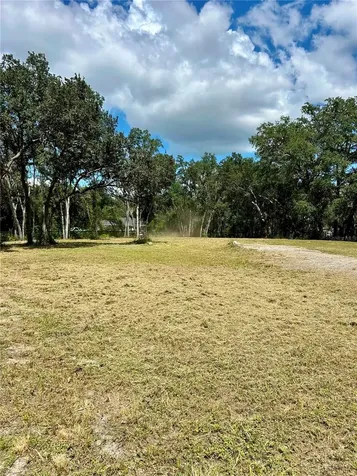 Antietam Drive Webster FL 33597
