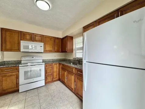 10015 N Aster Avenue Tampa FL 33612